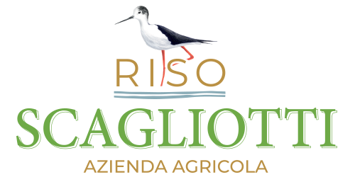Riso Scagliotti